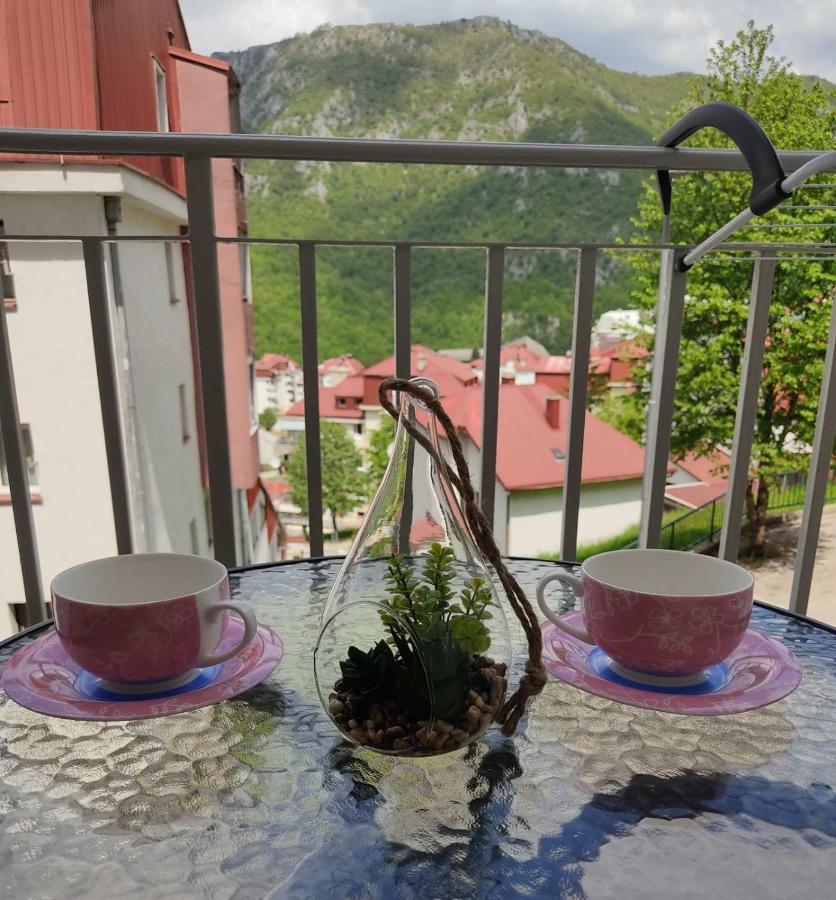 Apartman Andjela Plužine Ngoại thất bức ảnh